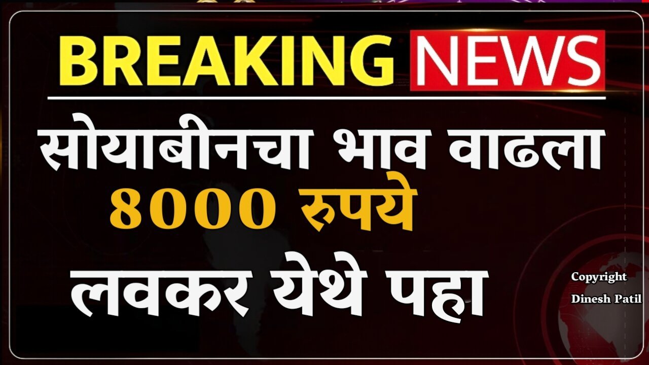 ​सोयाबीन उत्पादकांसाठी महत्त्वाची बातमी: दरात पुन्हा तेजी 8,000 रुपये आजचा भाव Today Soyabean Market Rate